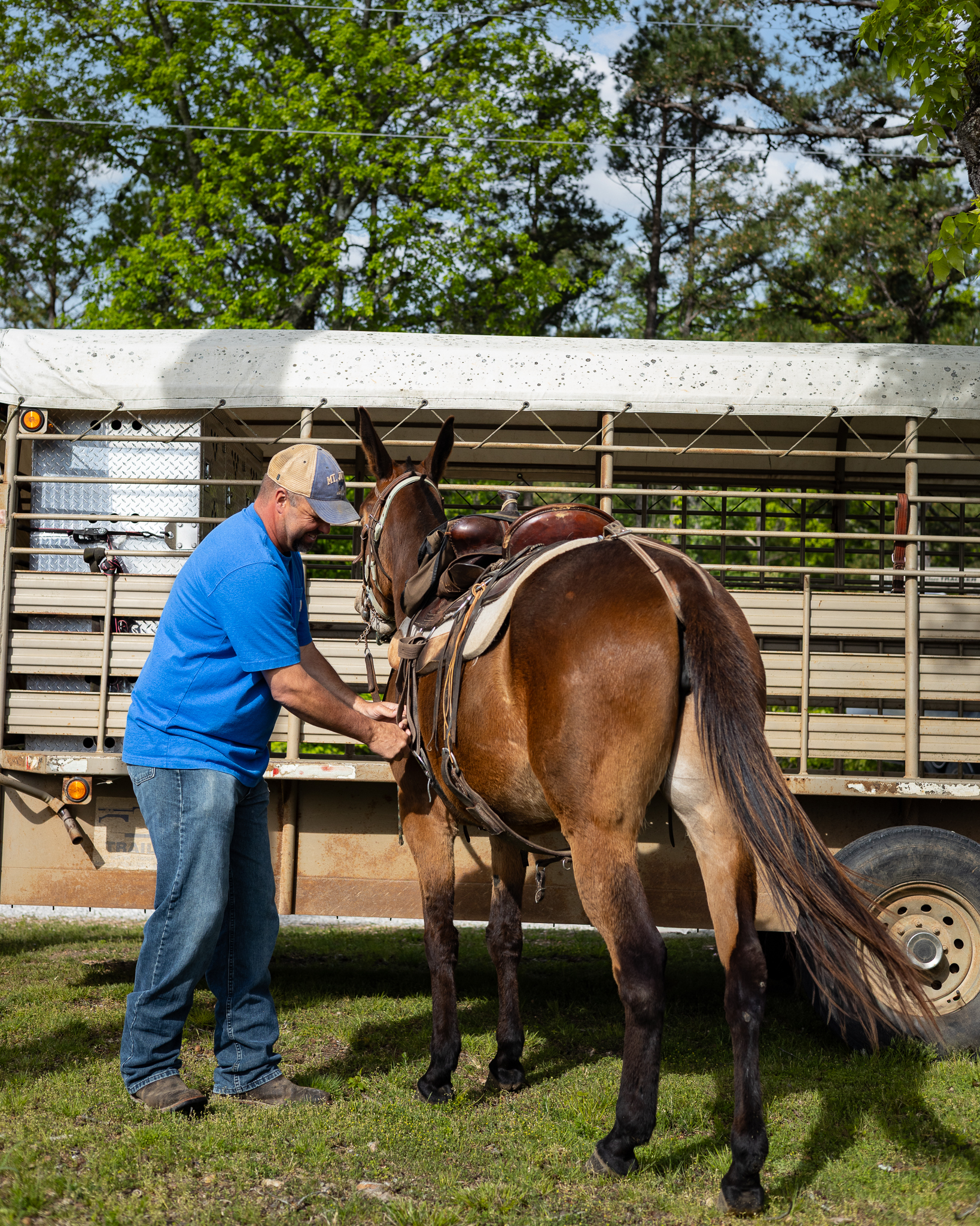 CarverRidgeHorseTrails-16