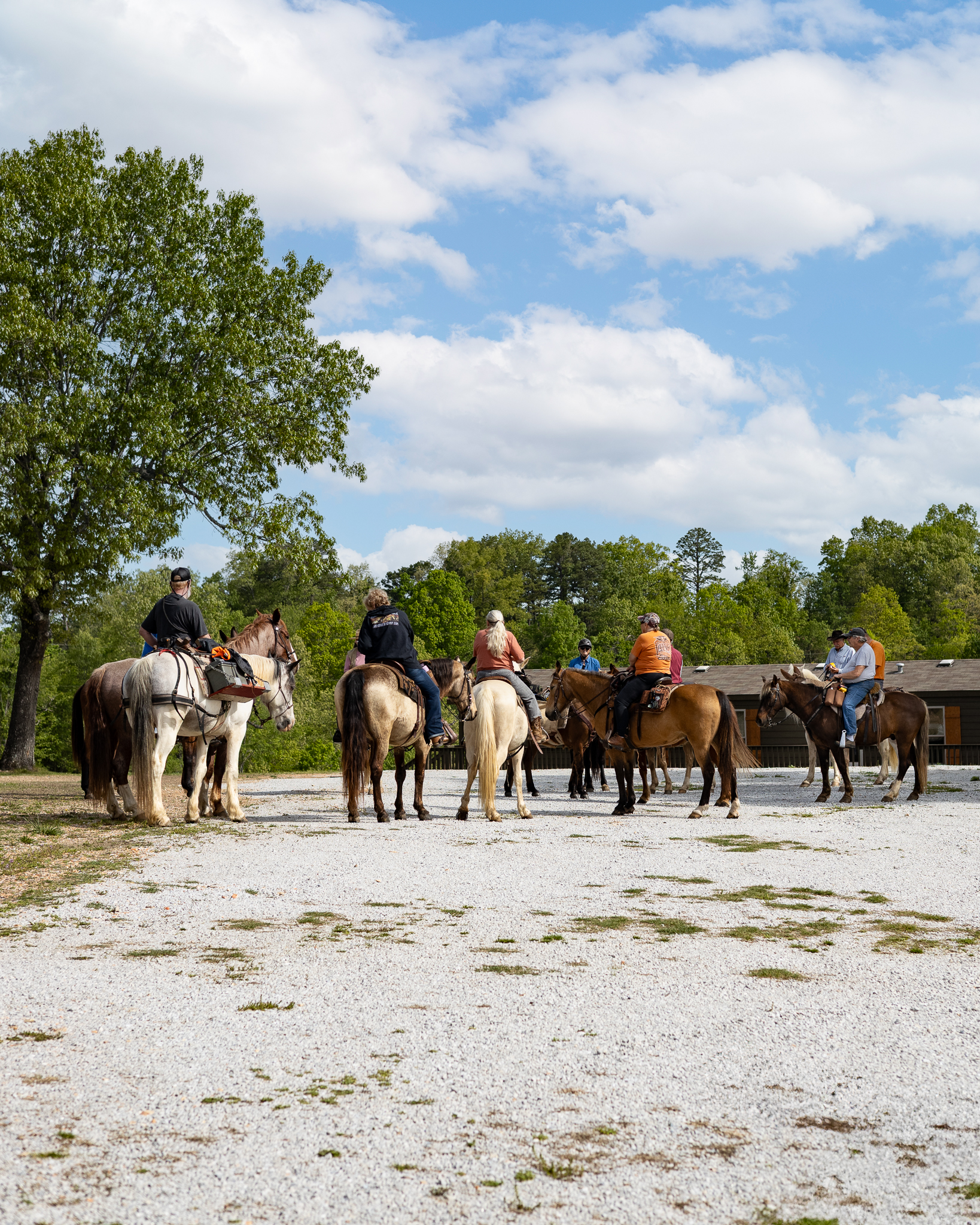 CarverRidgeHorseTrails-22