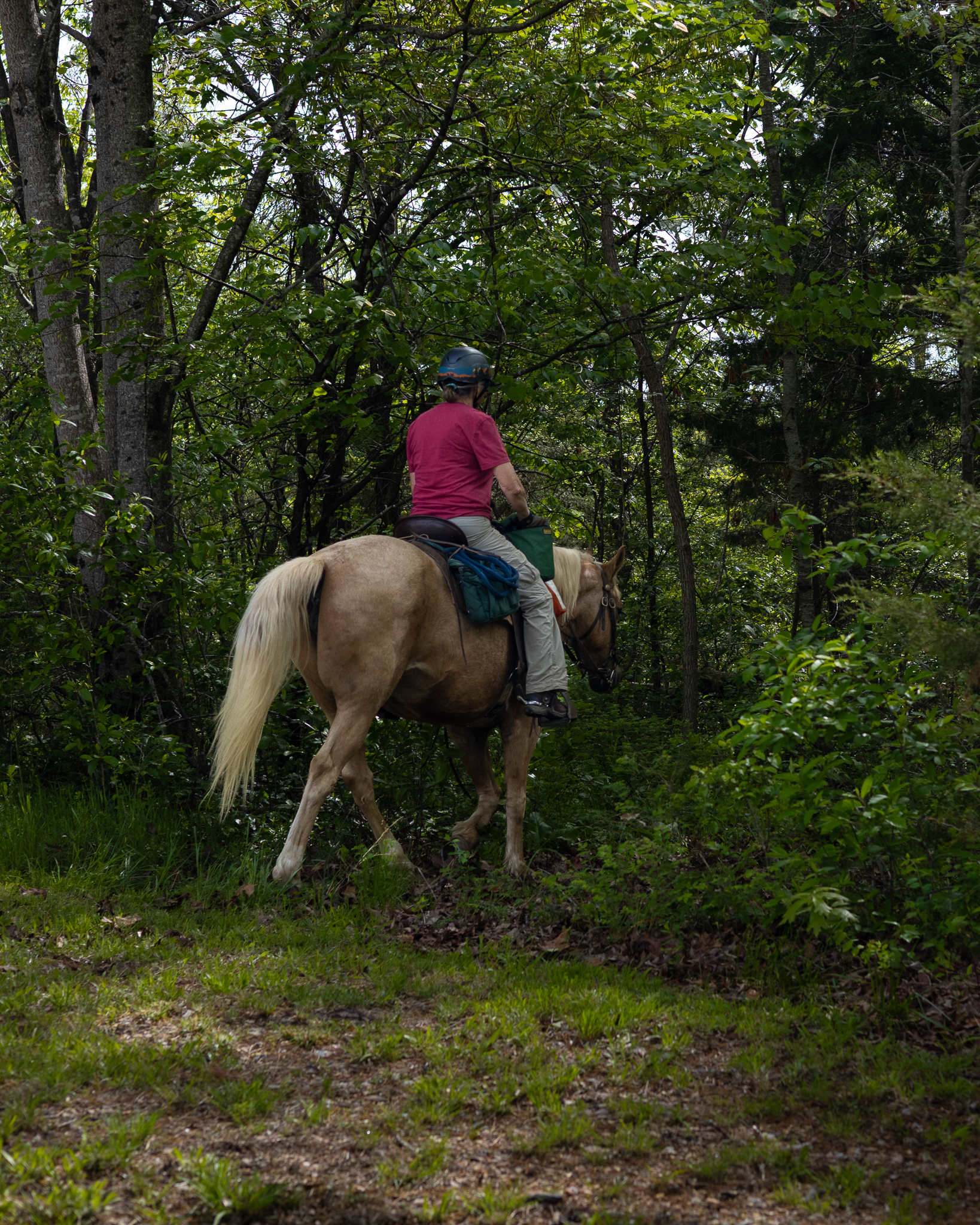 CarverRidgeHorseTrails-26