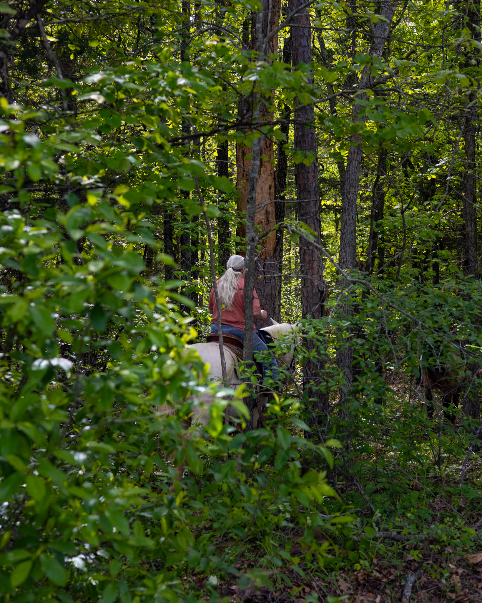 CarverRidgeHorseTrails-28