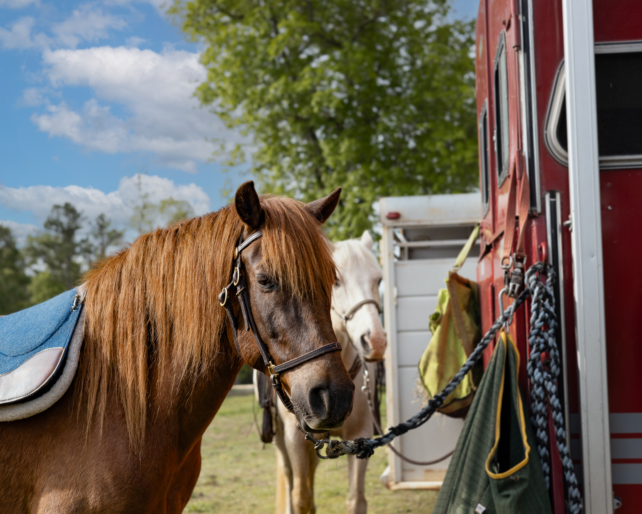 CarverRidgeHorseTrails-5